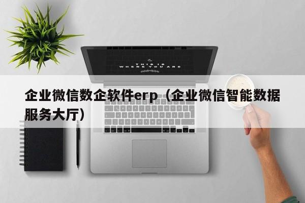 企业微信数企软件erp（企业微信智能数据服务大厅）