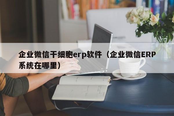 企业微信干细胞erp软件（企业微信ERP系统在哪里）