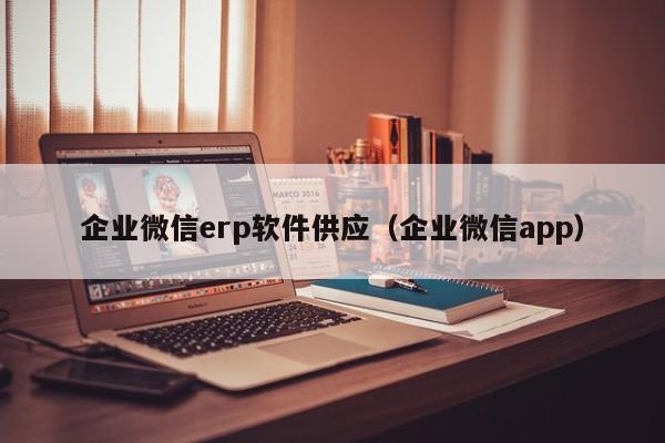 企业微信erp软件供应（企业微信app）