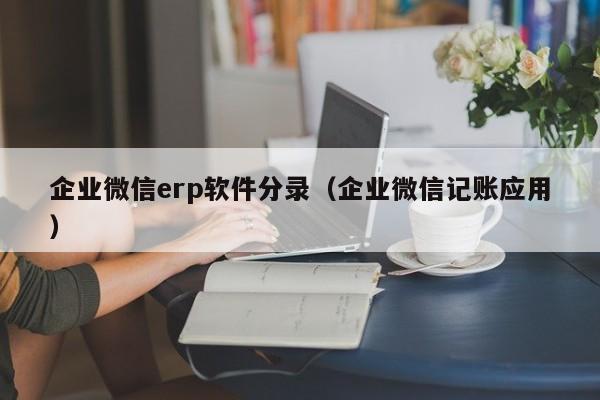 企业微信erp软件分录（企业微信记账应用）