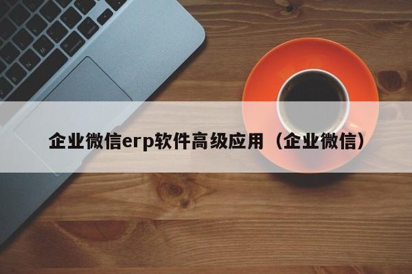 企业微信erp软件高级应用（企业微信）