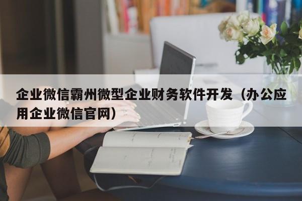 企业微信霸州微型企业财务软件开发（办公应用企业微信官网）