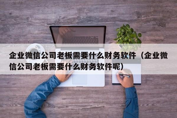 企业微信公司老板需要什么财务软件（企业微信公司老板需要什么财务软件呢）