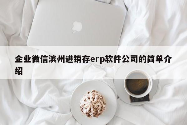 企业微信滨州进销存erp软件公司的简单介绍