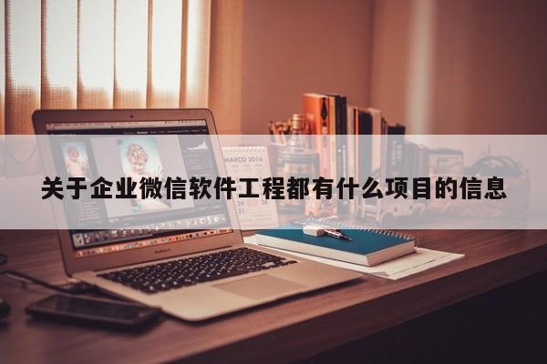 关于企业微信软件工程都有什么项目的信息