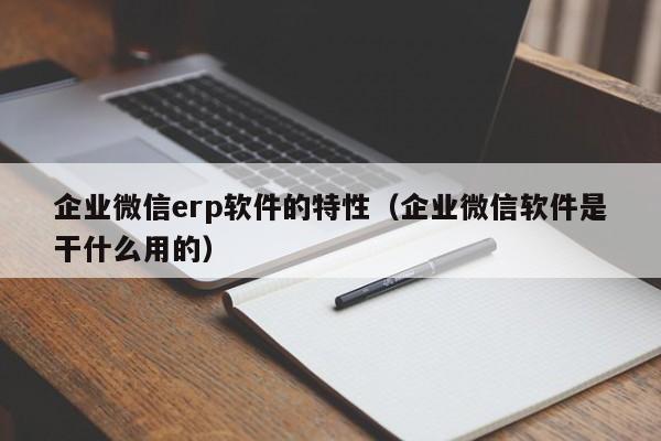 企业微信erp软件的特性（企业微信软件是干什么用的）