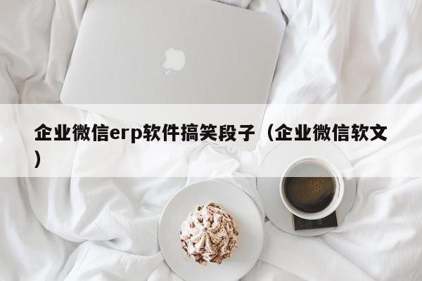 企业微信erp软件搞笑段子（企业微信软文）