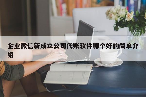 企业微信新成立公司代账软件哪个好的简单介绍