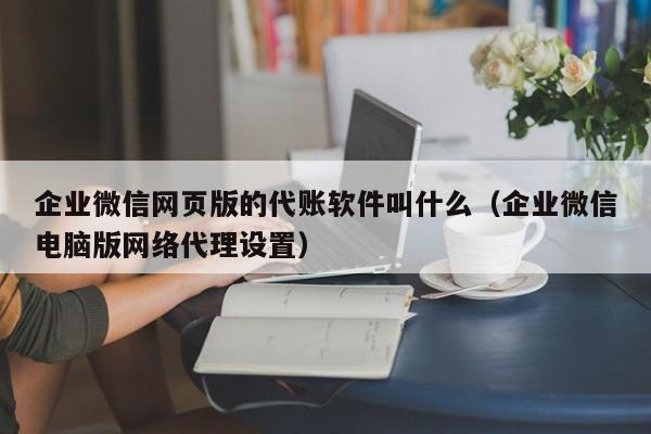 企业微信网页版的代账软件叫什么（企业微信电脑版网络代理设置）