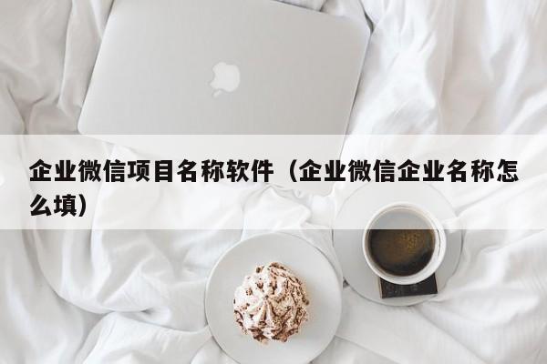 企业微信项目名称软件（企业微信企业名称怎么填）