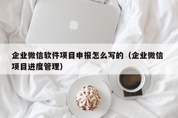 企业微信软件项目申报怎么写的（企业微信 项目进度管理）