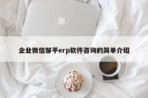 企业微信邹平erp软件咨询的简单介绍