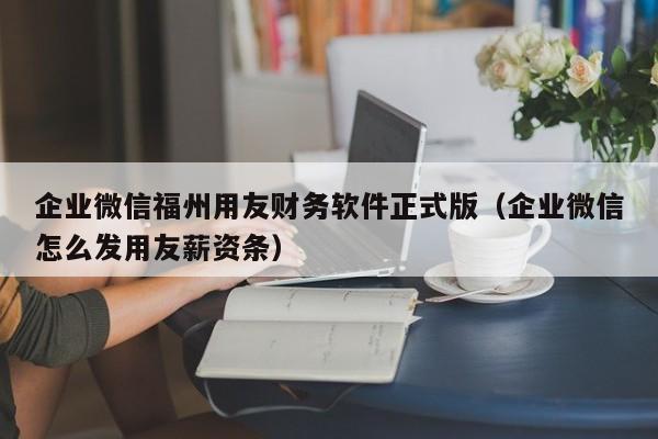 企业微信福州用友财务软件正式版（企业微信怎么发用友薪资条）