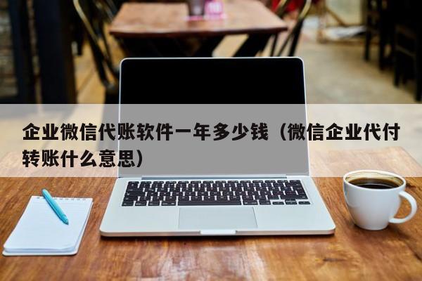 企业微信代账软件一年多少钱（微信企业代付转账什么意思）