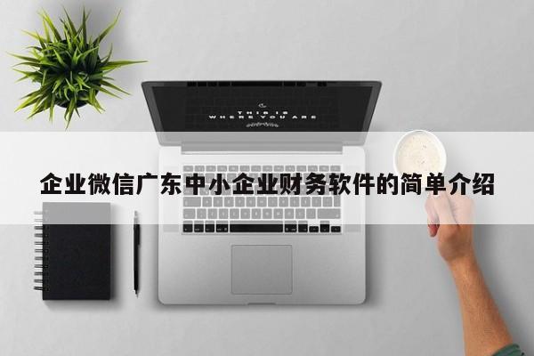 企业微信广东中小企业财务软件的简单介绍