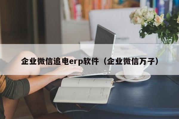 企业微信追电erp软件（企业微信万子）