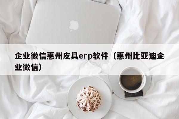 企业微信惠州皮具erp软件（惠州比亚迪企业微信）