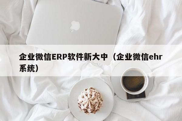 企业微信ERP软件新大中（企业微信ehr系统）