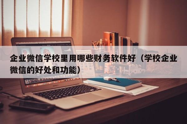 企业微信学校里用哪些财务软件好（学校企业微信的好处和功能）