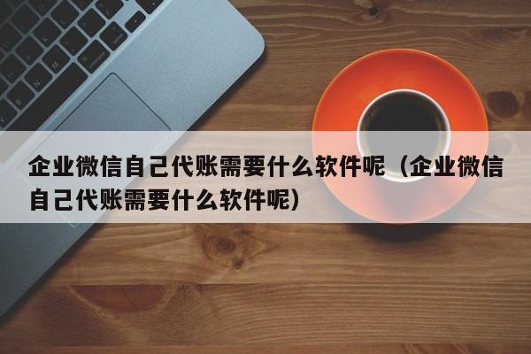 企业微信自己代账需要什么软件呢（企业微信自己代账需要什么软件呢）