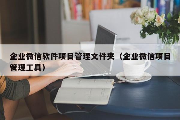 企业微信软件项目管理文件夹（企业微信项目管理工具）