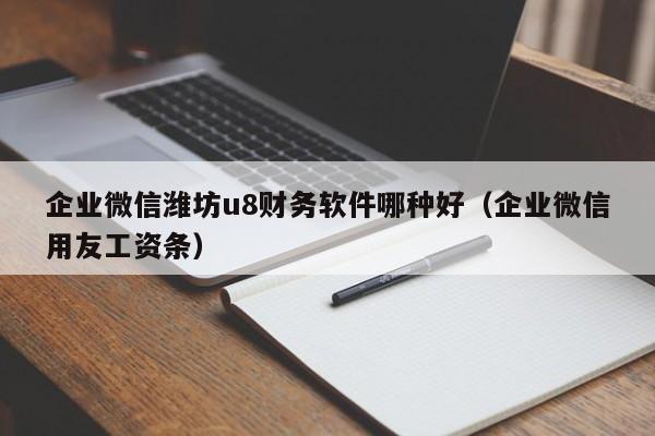 企业微信潍坊u8财务软件哪种好（企业微信用友工资条）