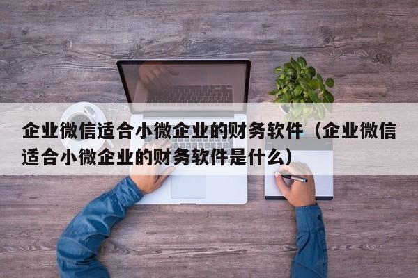 企业微信适合小微企业的财务软件（企业微信适合小微企业的财务软件是什么）