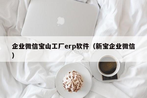 企业微信宝山工厂erp软件（新宝企业微信）