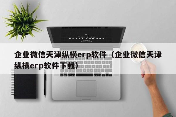 企业微信天津纵横erp软件（企业微信天津纵横erp软件下载）