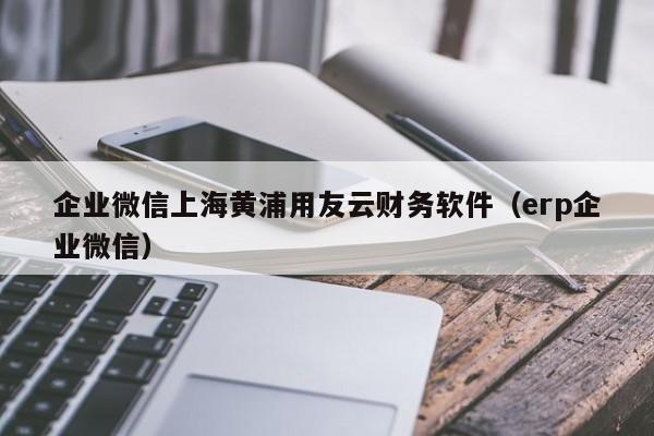 企业微信上海黄浦用友云财务软件（erp企业微信）