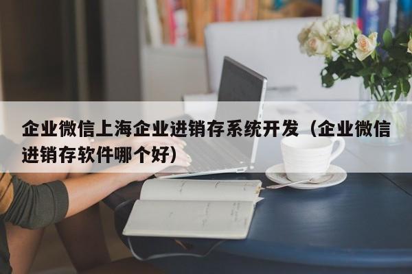 企业微信上海企业进销存系统开发（企业微信进销存软件哪个好）