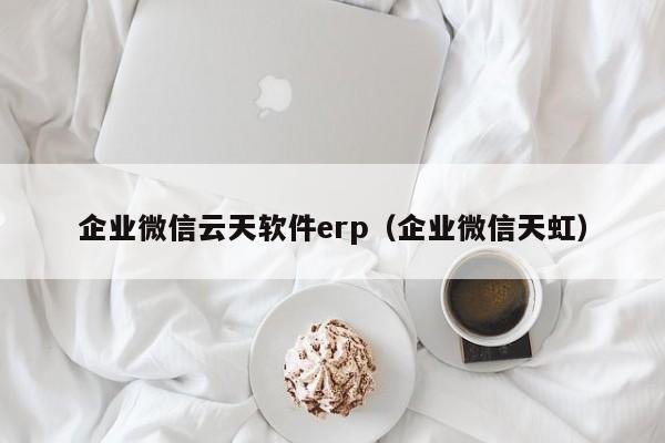 企业微信云天软件erp（企业微信天虹）