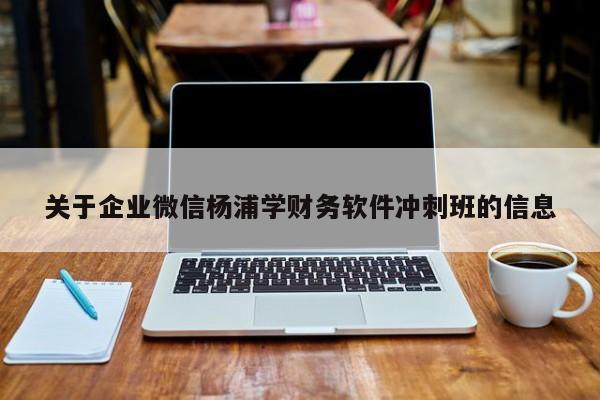 关于企业微信杨浦学财务软件冲刺班的信息