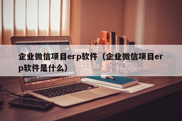 企业微信项目erp软件（企业微信项目erp软件是什么）