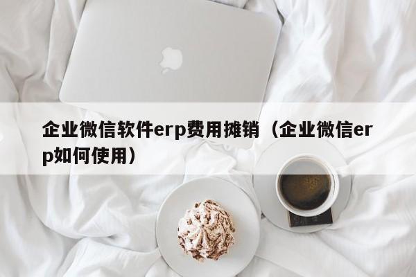 企业微信软件erp费用摊销（企业微信erp如何使用）