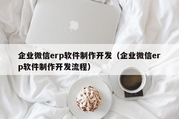 企业微信erp软件制作开发（企业微信erp软件制作开发流程）