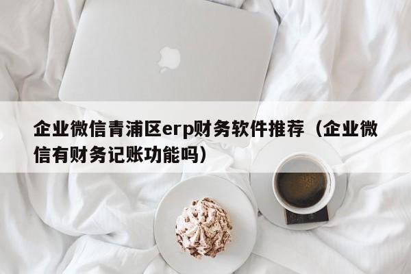 企业微信青浦区erp财务软件推荐（企业微信有财务记账功能吗）