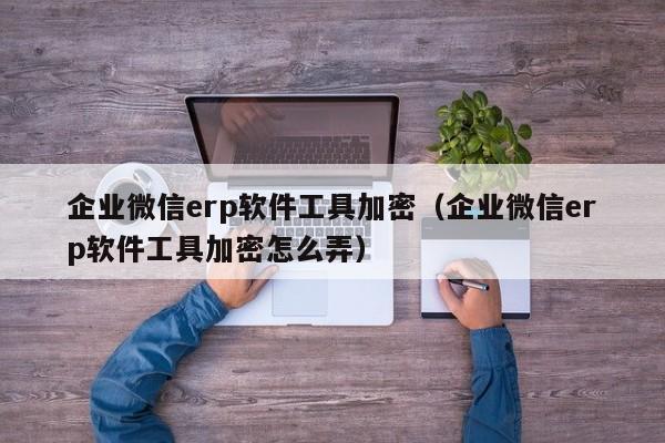 企业微信erp软件工具加密（企业微信erp软件工具加密怎么弄）