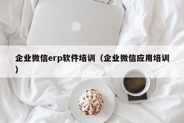 企业微信erp软件培训（企业微信应用培训）