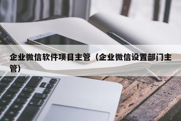 企业微信软件项目主管（企业微信设置部门主管）