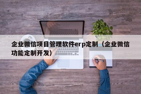 企业微信项目管理软件erp定制（企业微信功能定制开发）