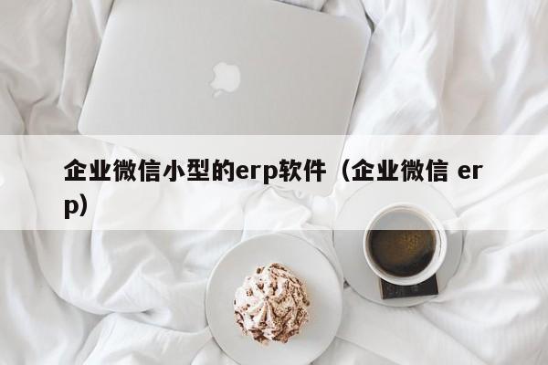 企业微信小型的erp软件（企业微信 erp）