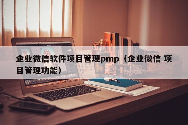 企业微信软件项目管理pmp（企业微信 项目管理功能）